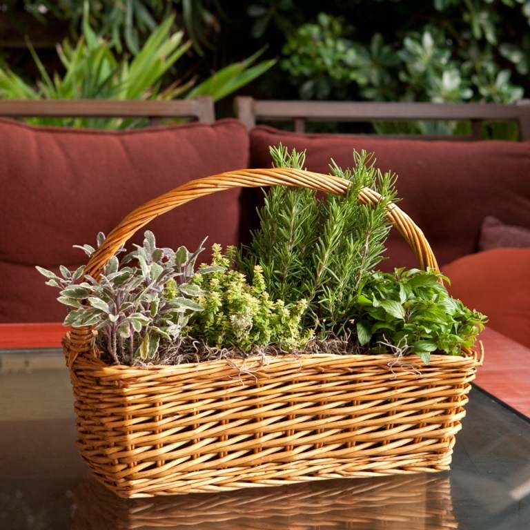 Simplesmente plante cesta de vime decoração para casa acessórios para casa sofá de jardim