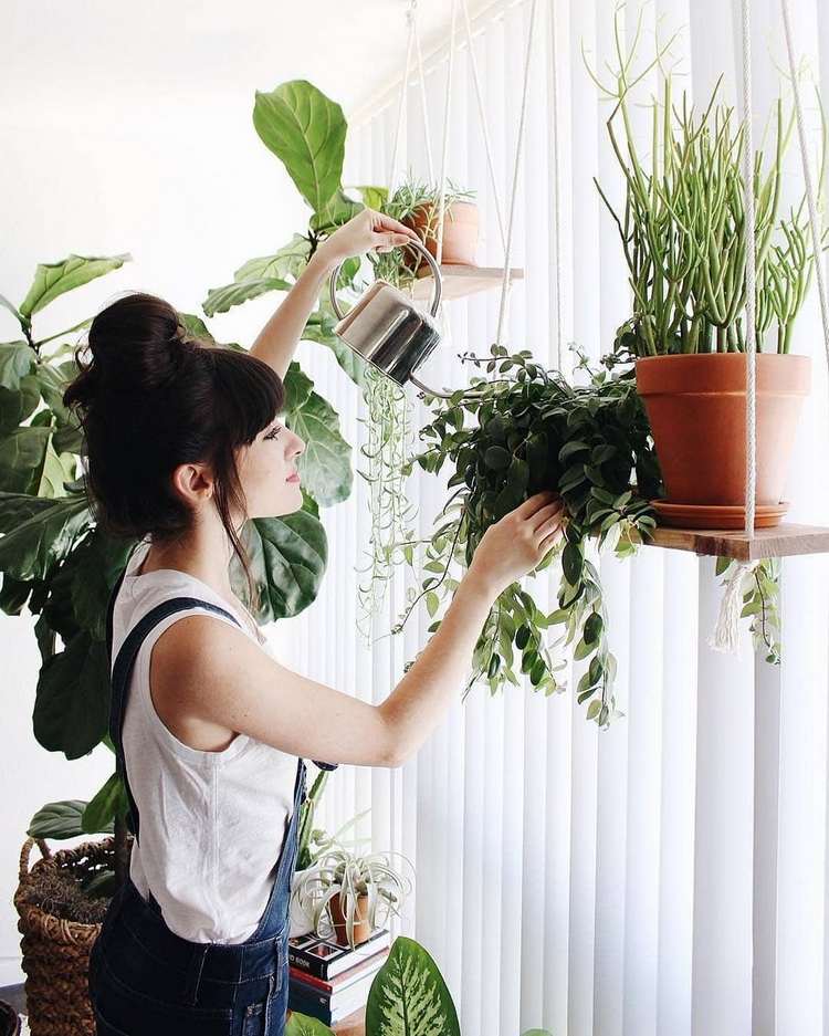 vaso com drenagem e drenagem para melhor atendimento no plantio use rega para pendurar plantas